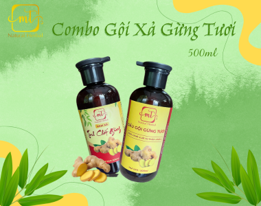 COMBO DẦU GỘI GỪNG TƯƠI VÀ KEM XẢ GỪNG 500ML