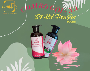 Combo Dầu gội Bồ Kết Hoa Sen 500ml